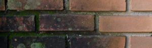 Schrijver-Website-main
