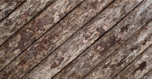 How to identify penetrating damp - wooden boards