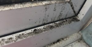 10 ways to prevent mould in your home - Here's an example of black mould on window frame