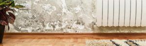 causes-damp-detail-1024x325-1