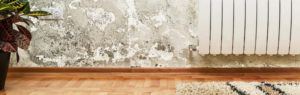 causes-damp-detail-1024x325-1-1024x325