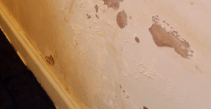 damp-patch-interior-wall