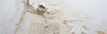 Is rising damp a problem for you?